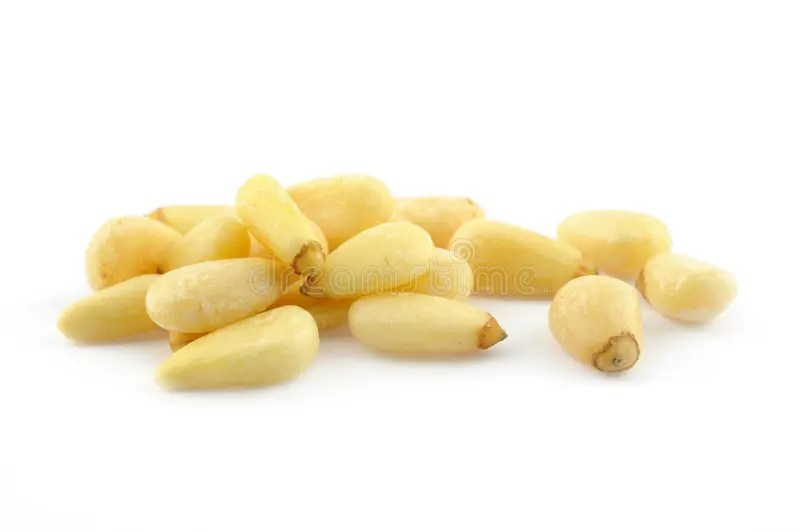 Pine nuts stock photo. Image of food, seed, nuts, white 25335772