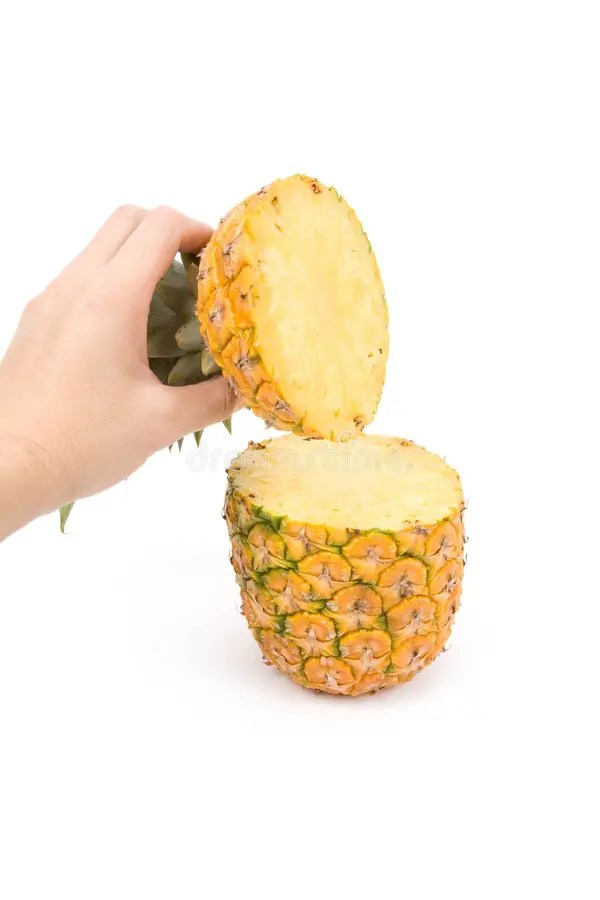 18+ Hand holding pineapple Free Stock Photos StockFreeImages