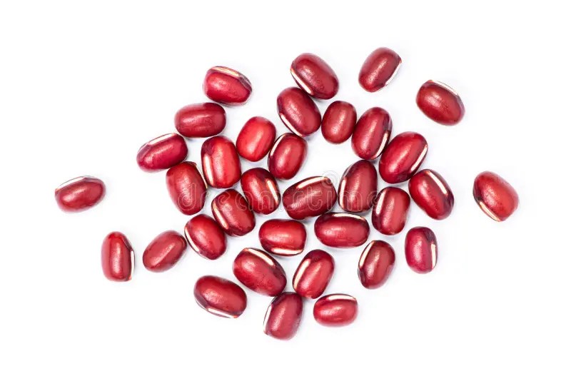 Closeup of Moth Beans, Indian Name Matki Stock Image Image of shot