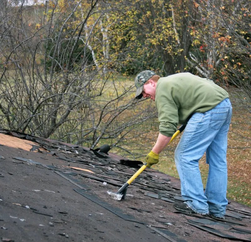 Removing shingles stock photo. Image of replacing, carpenter 10593704