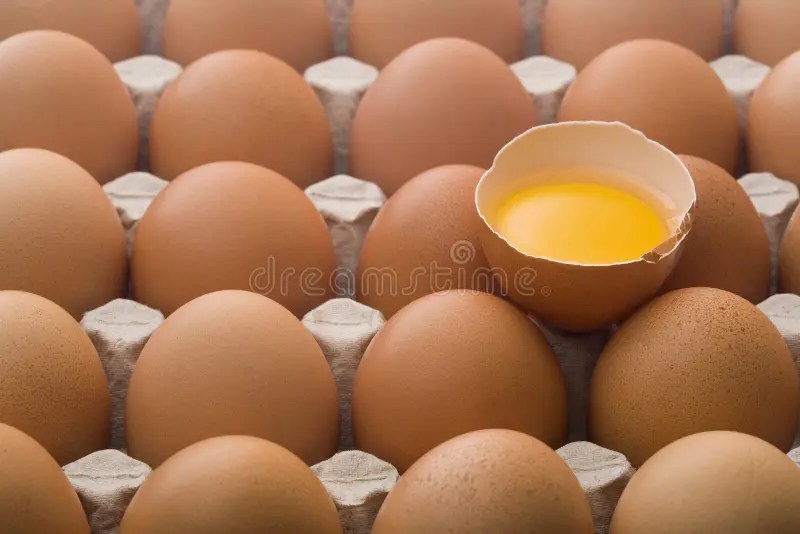 Rohe Eier In Einem Eikarton Stockfoto Bild von hell, gesund 9344034