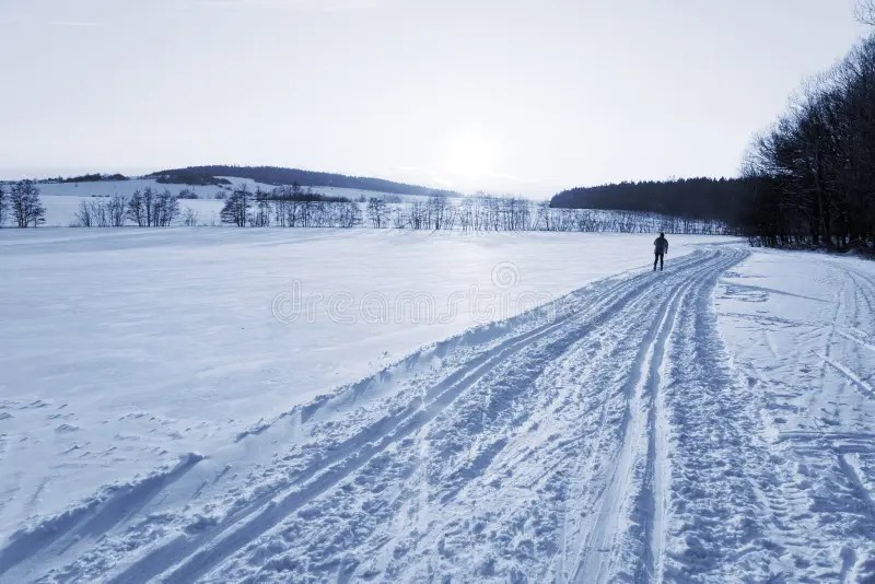 Ski track stock image. Image of line, activity, forest 12995097