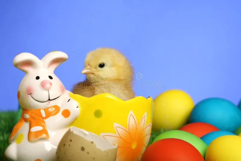 Small easter chicks stock image. Image of background 13055697