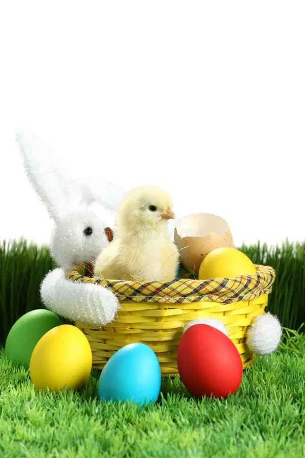 Small easter chicks stock image. Image of background 13055697
