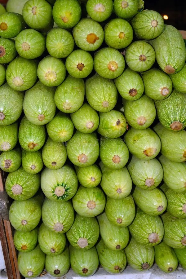 Squash Texture stock image. Image of arabia, horizontal 21673069