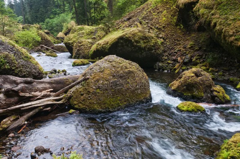 Stream stock photo. Image of mountains, troutdale, cascade 19642808