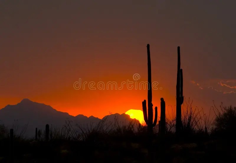 Thundershower Sunset stock photo. Image of cactus, thundershower 387444