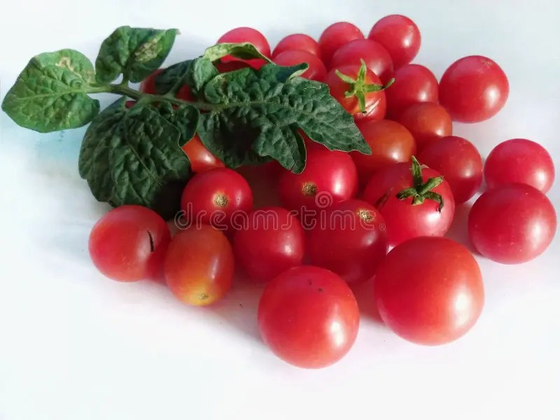 Tomate foto de archivo. Imagen de tomate, frutas, rojo 102381892