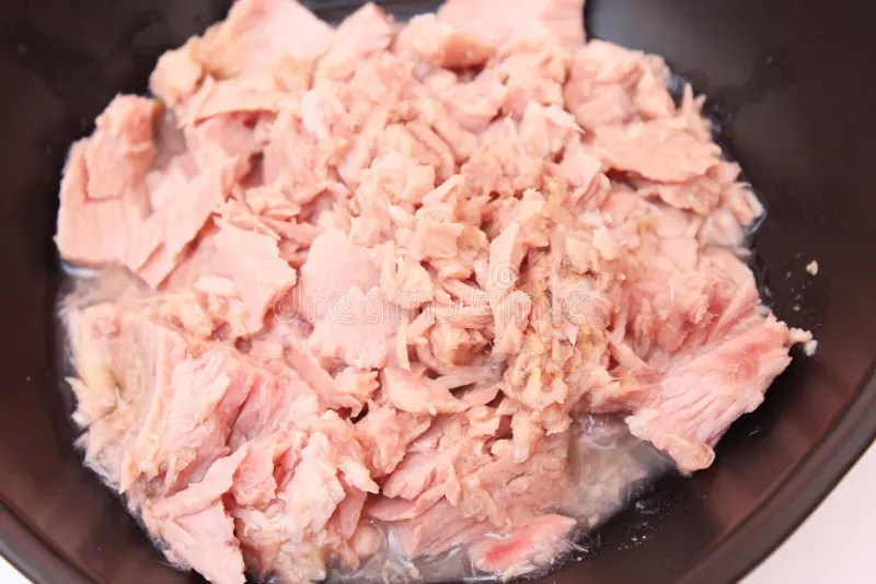 Tuna fish stock image. Image of lunch, freshness, dinner 25210469