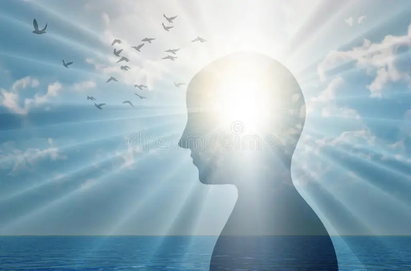 111,525 Brain Photos Free & RoyaltyFree Stock Photos from Dreamstime