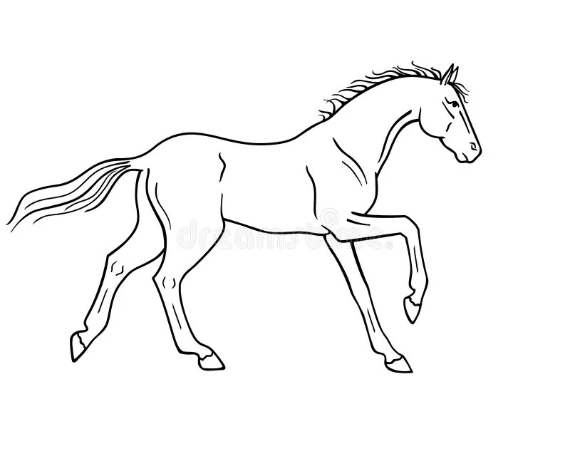 Horse Drawing Stock Illustrations 93,042 Horse Drawing Stock