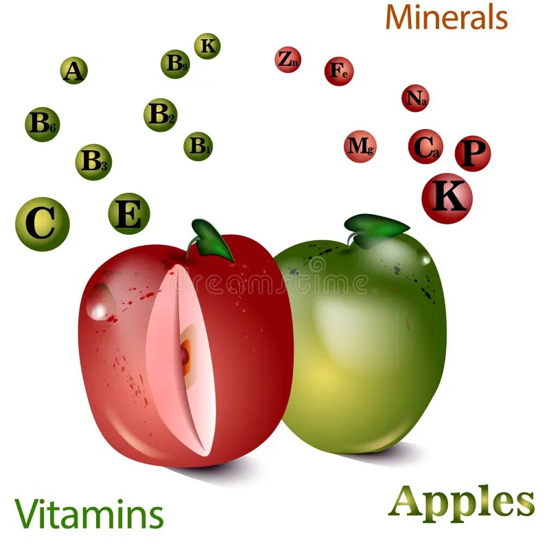 Vitamins and Minerals of Apple Stock Vector Illustration of source