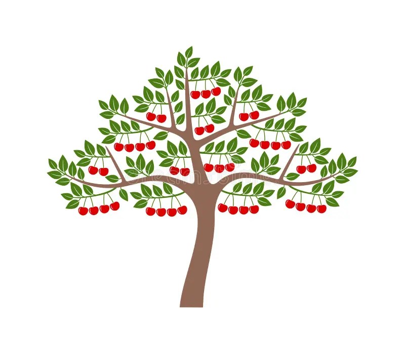 Cherry Tree Logo. Isolated Cherry Tree on White Background Stock Vector