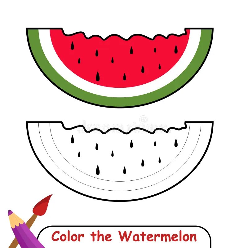 Watermelon Coloring Page, Coloring Book for Kids, Watermelon Isolated