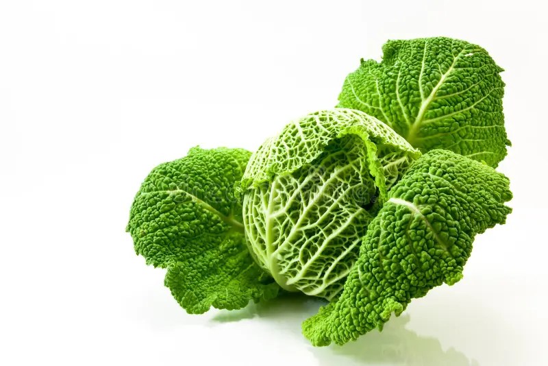 Wirsingkohl stockbild. Bild von nave, gesundheit, grün 4254977