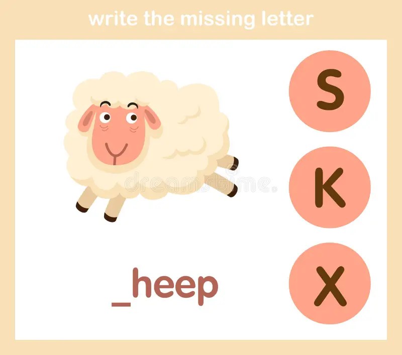 Sheep Vocabulary Part Of Body.vector Stock Vector Illustration of letter, education 130240546