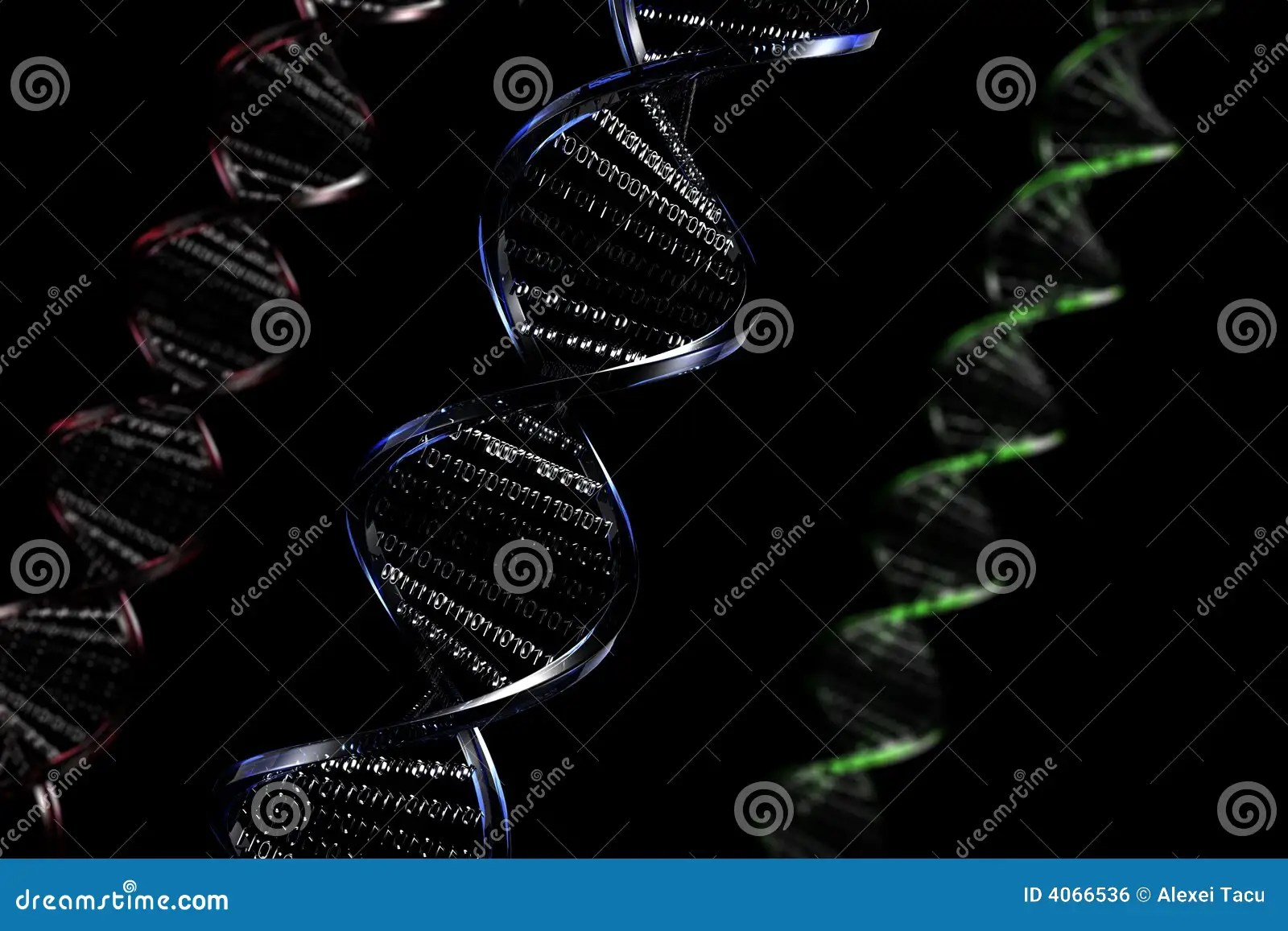 3D Helix With Binary Code Royalty Free Stock Image Image 4066536