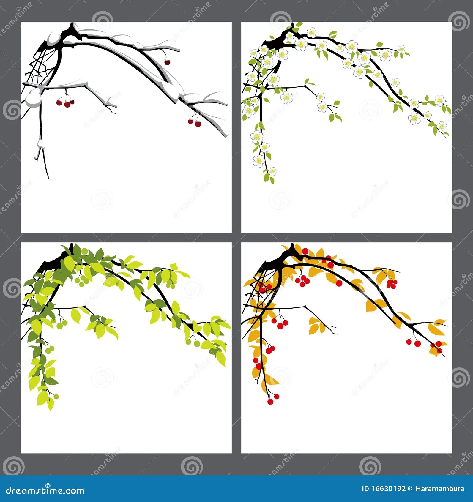 Appletree. Seasons. stock illustration. Illustration of background