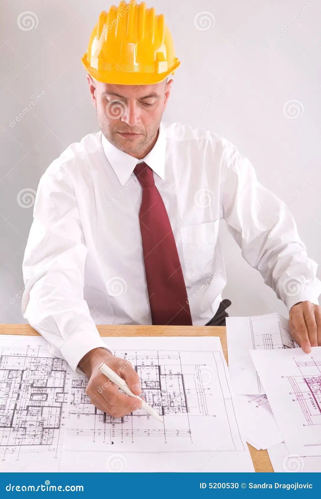 Architect at work stock photo. Image of plan, boss, female 5200530