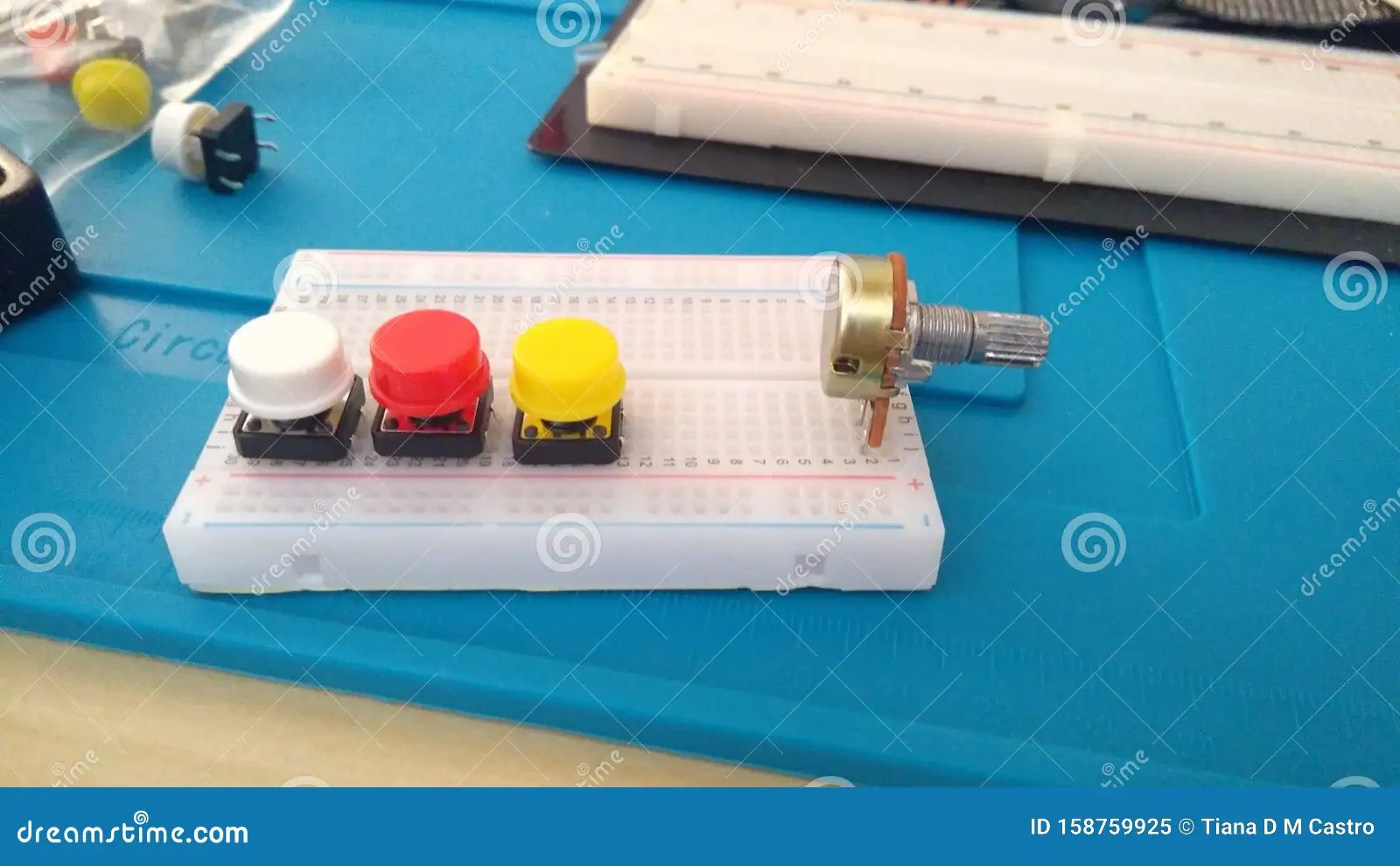 Arduino Breadboard Buttons Closeup Stock Image Image of tests