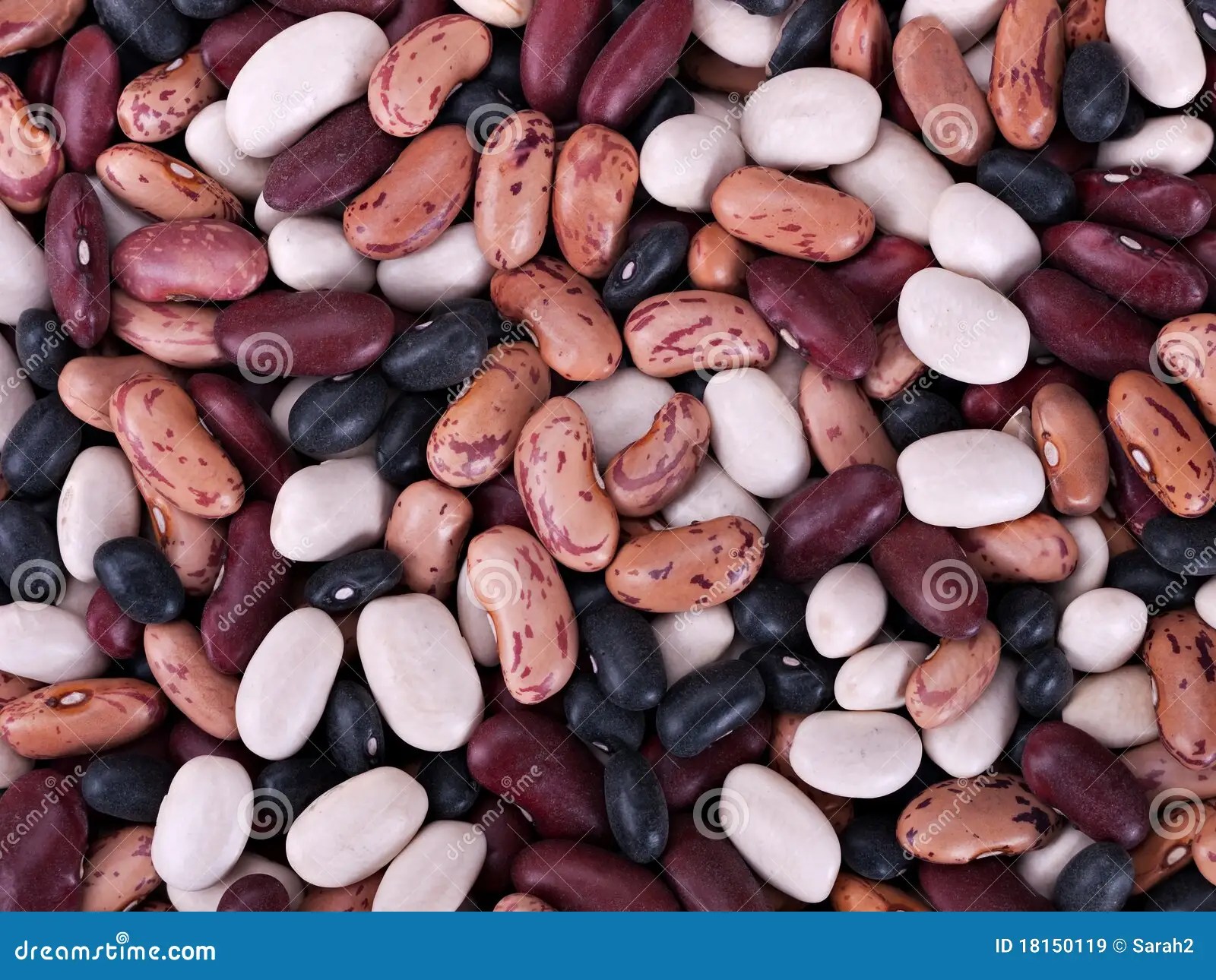 Assorted beans macro stock image. Image of detail, beans 18150119