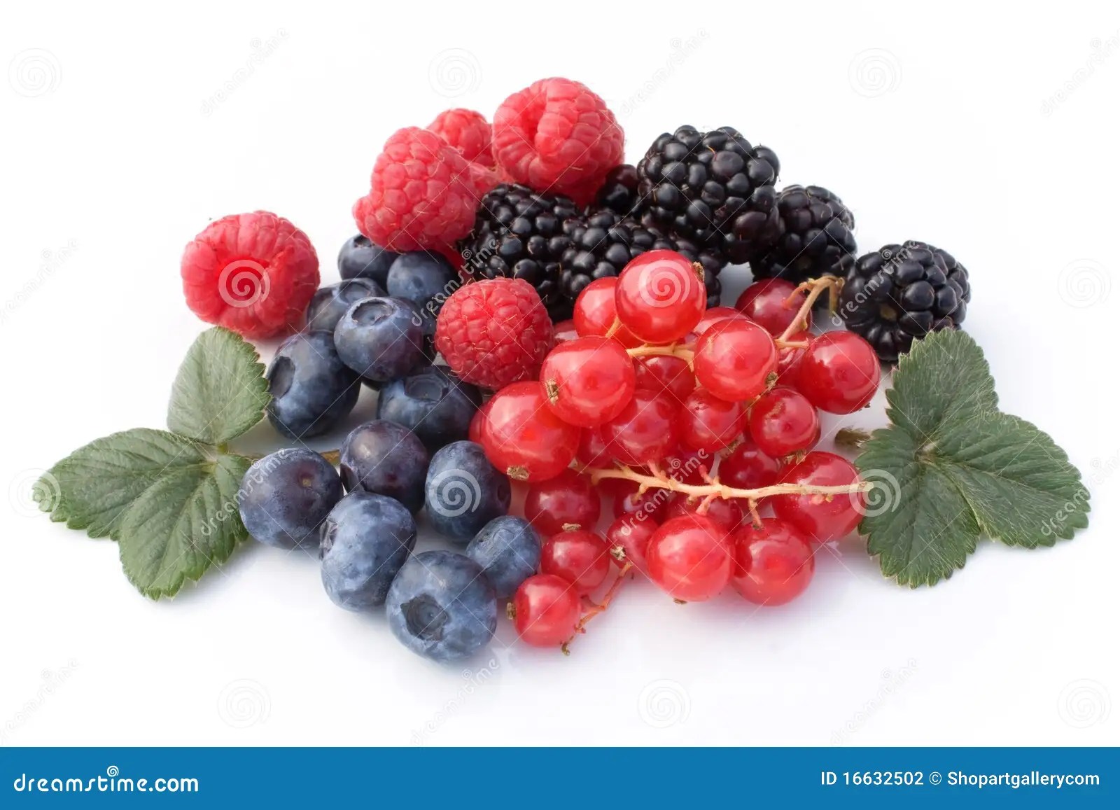 Baies rouges photo stock. Image du nourriture, juteux 16632502