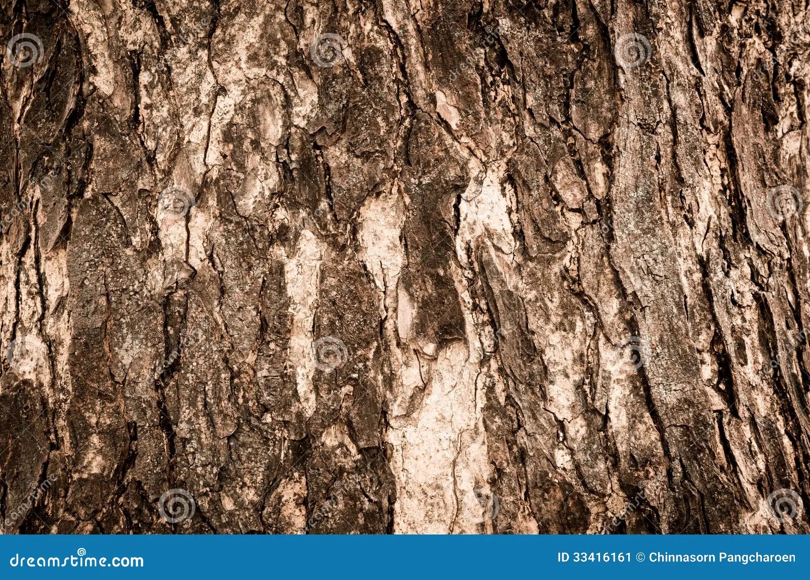 Brown Tree Bark Stock Image Image 33416161