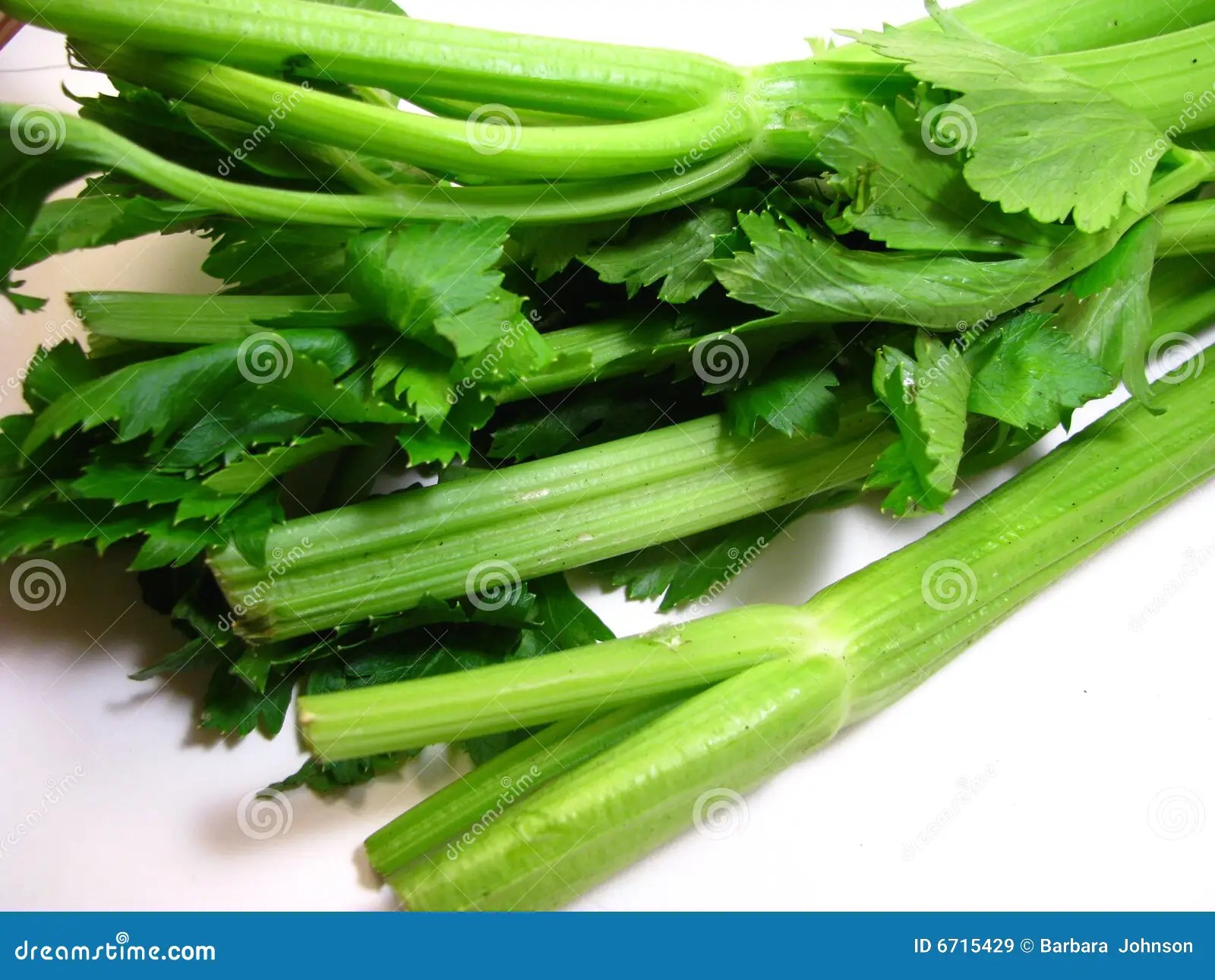 Celery stock image. Image of kitchen, leaves, healthy 6715429