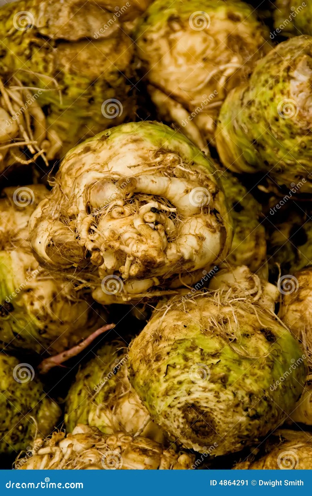 Celery Root stock image. Image of leaf, market, nature 4864291