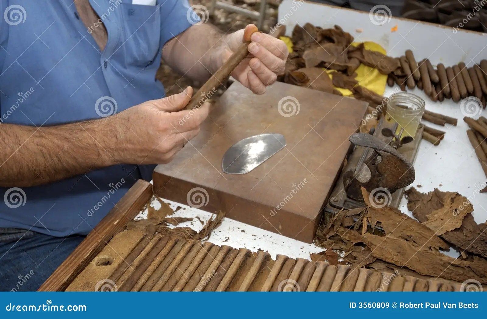 Cigar making stock image. Image of cigars, field, green 3560809