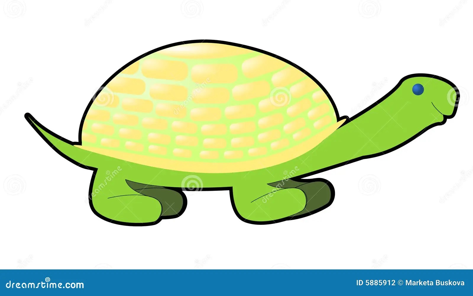 Comics turtle stock vector. Illustration of animal, ocean 5885912