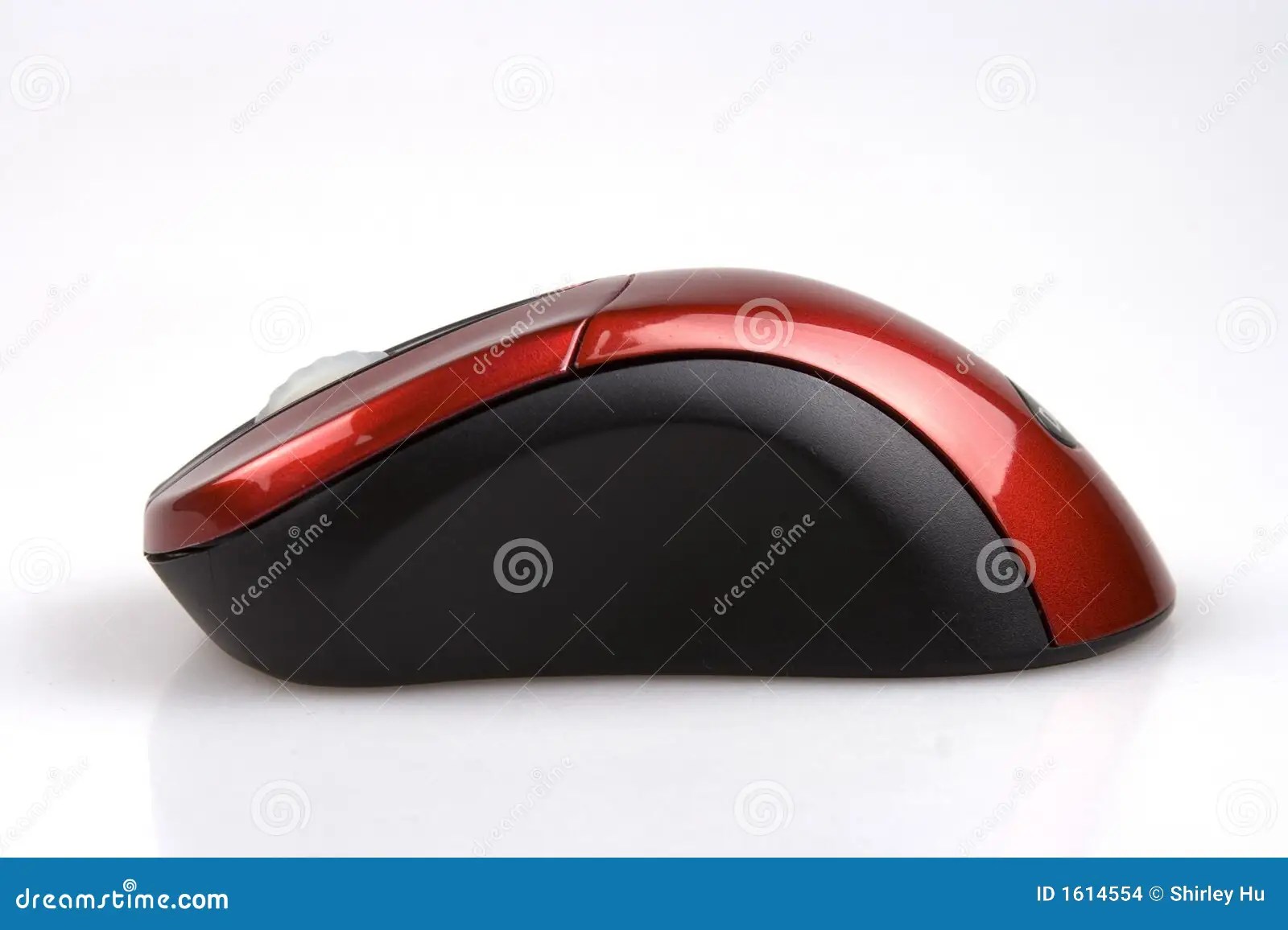 Side View Of A Computer Mouse Royalty-Free Stock Photo | CartoonDealer