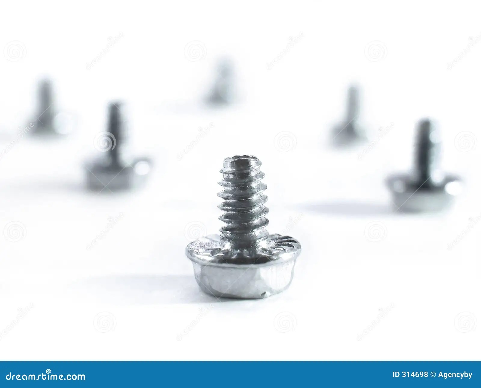 Computer screws stock photo. Image of leadership, accessories 314698