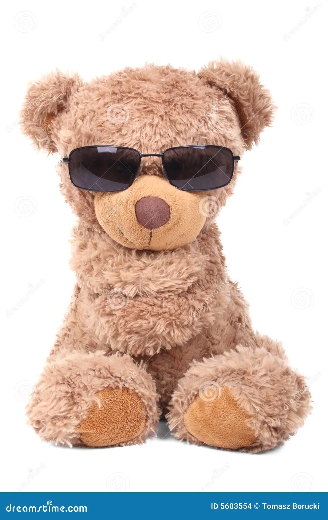 Cool bear stock photo. Image of soft, funny, sitting, feeling 5603554