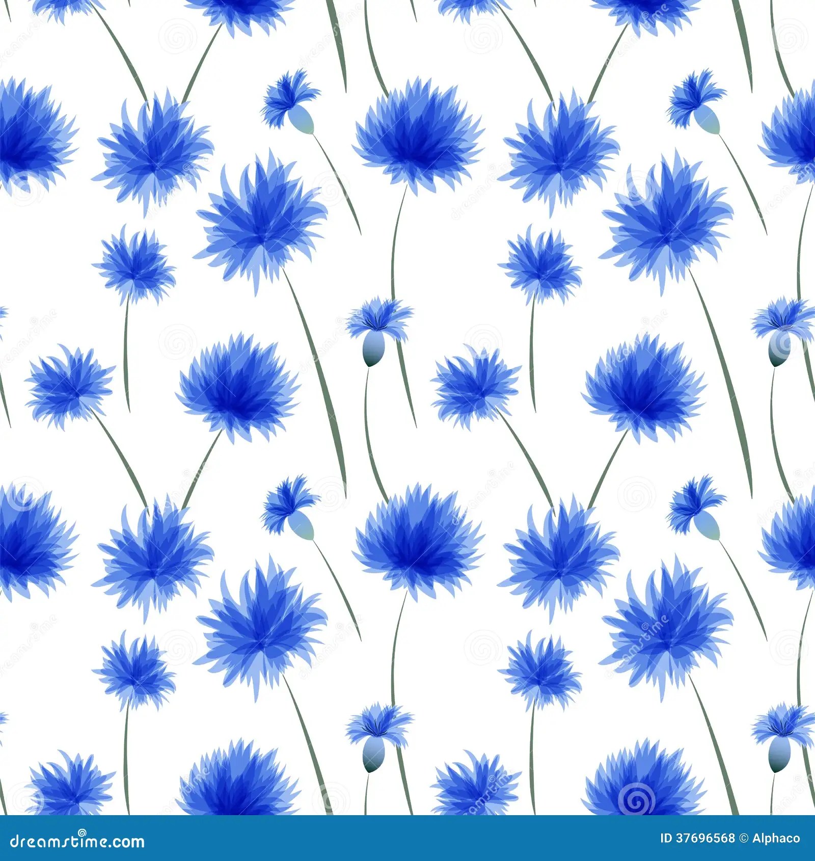 Cornflower pattern stock vector. Illustration of blue 37696568