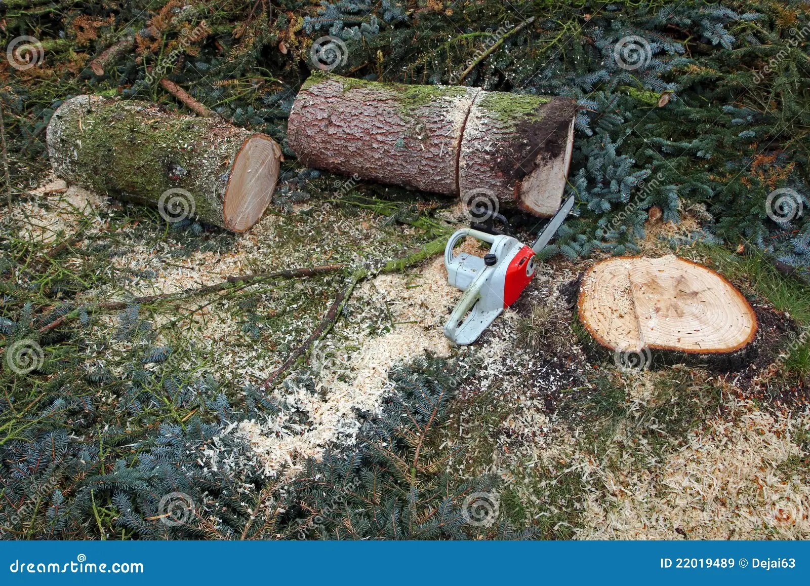 Cut down a tree stock image. Image of cutting, green 22019489