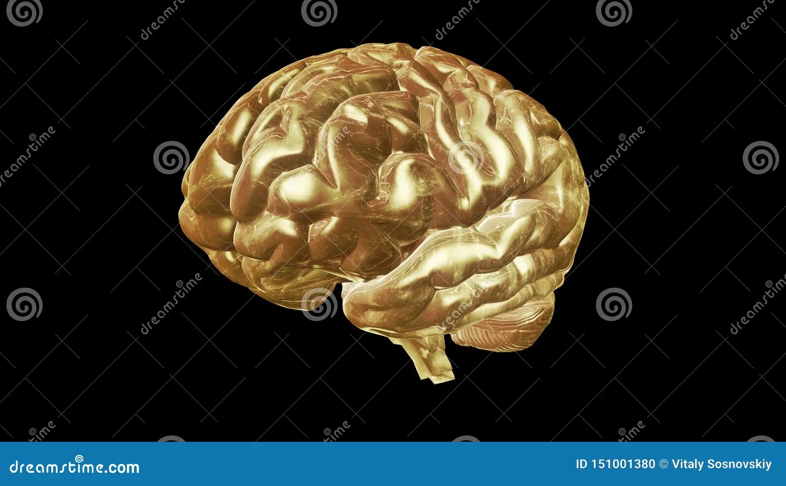 3D Rendering Of Computer Model Of Human Brain And Artificial
