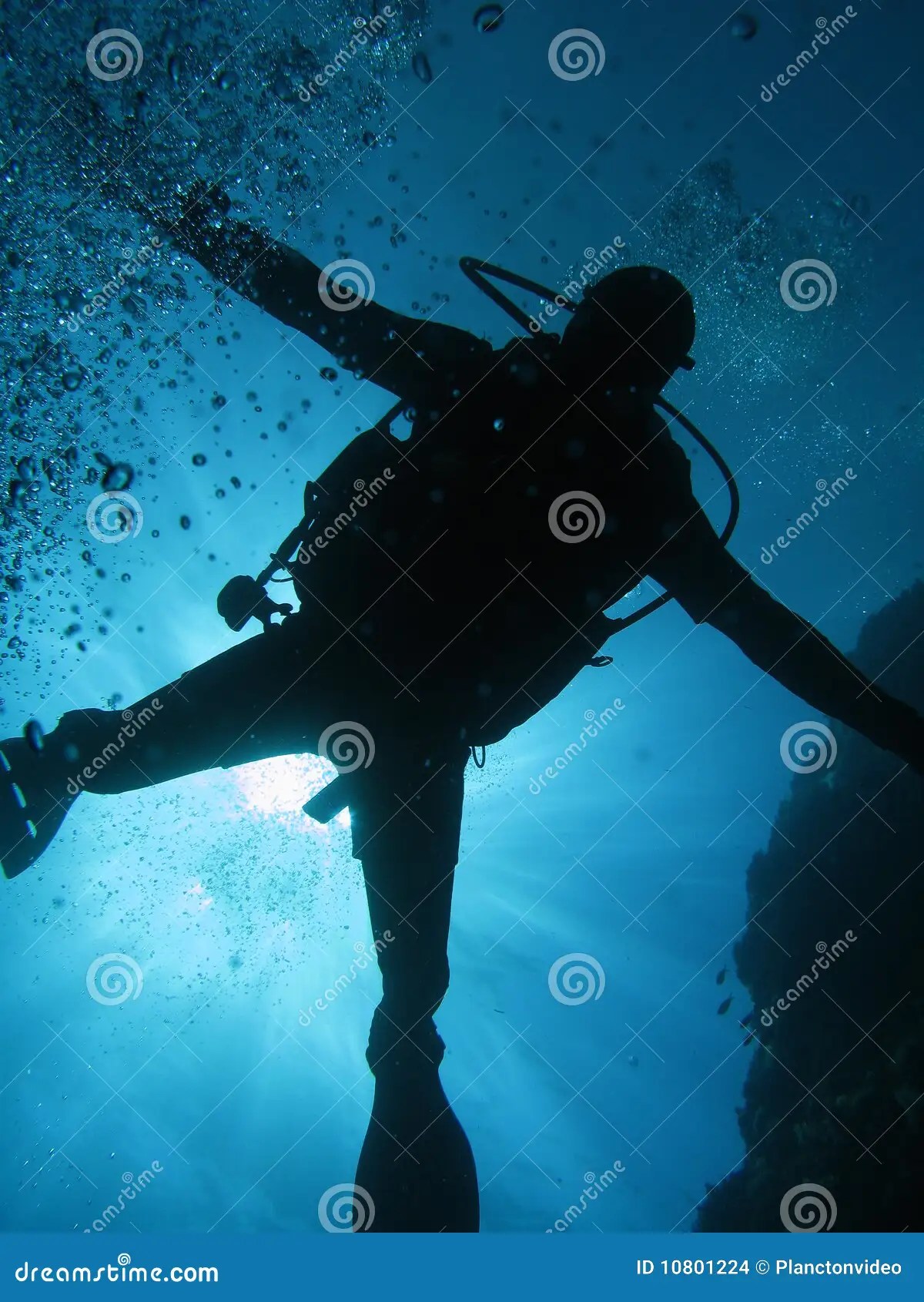 Diving stock photo. Image of swim, ocean, floating, rays 10801224