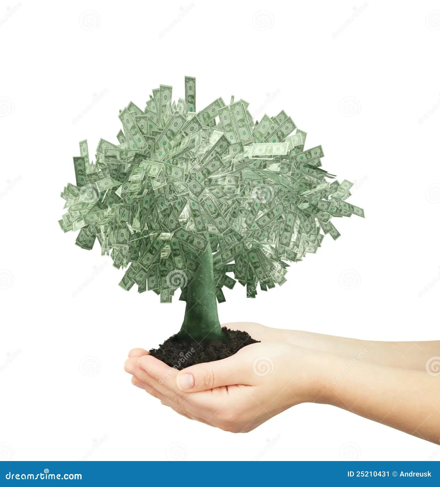 1,931 Dollars Tree Stock Photos Free & RoyaltyFree Stock Photos from