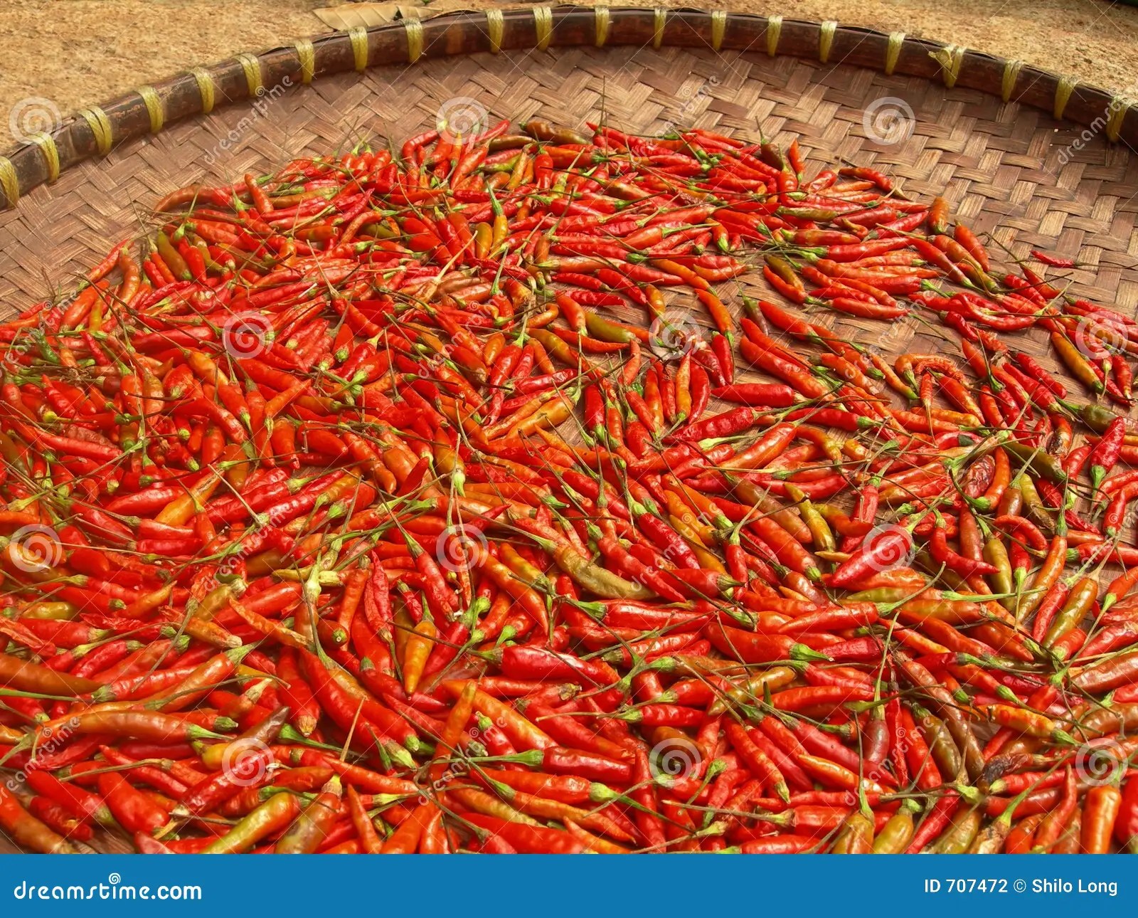Drying chilli stock photo. Image of natural, asia, heat 707472