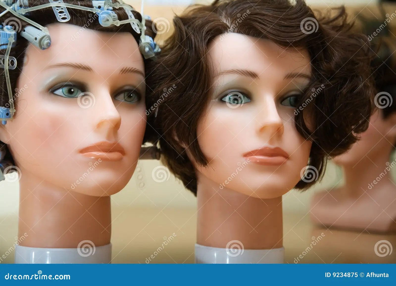 The dummy stock image. Image of barber, hair, plastic 9234875