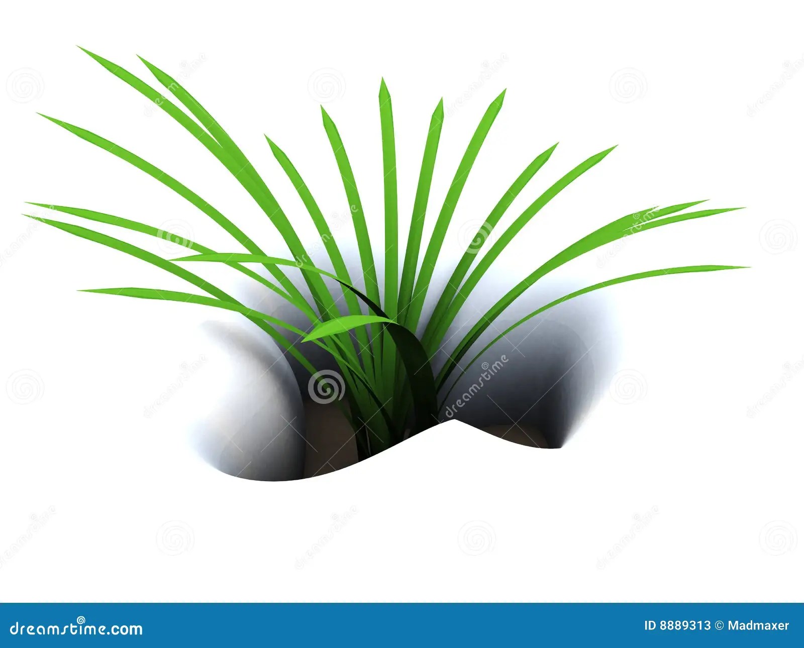 First grass stock illustration. Illustration of march 8889313