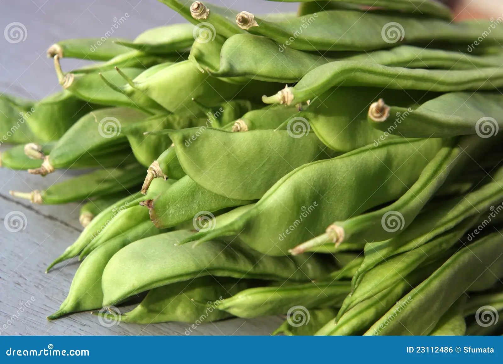 Flat bean stock photo. Image of diet, human, bean, healthy 23112486