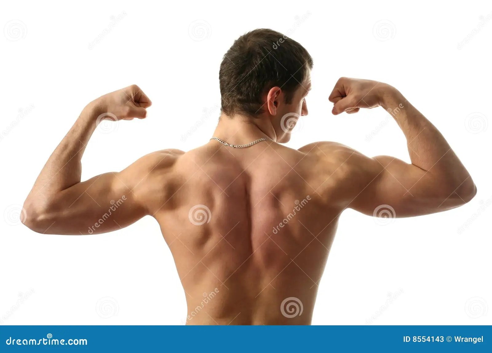 Flexing Biceps stock image. Image of cutout, beauty, biceps 8554143