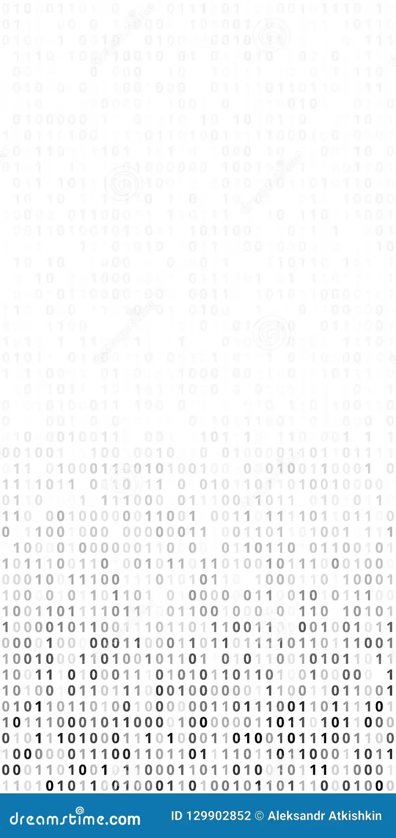 Binary Rise Fall Software