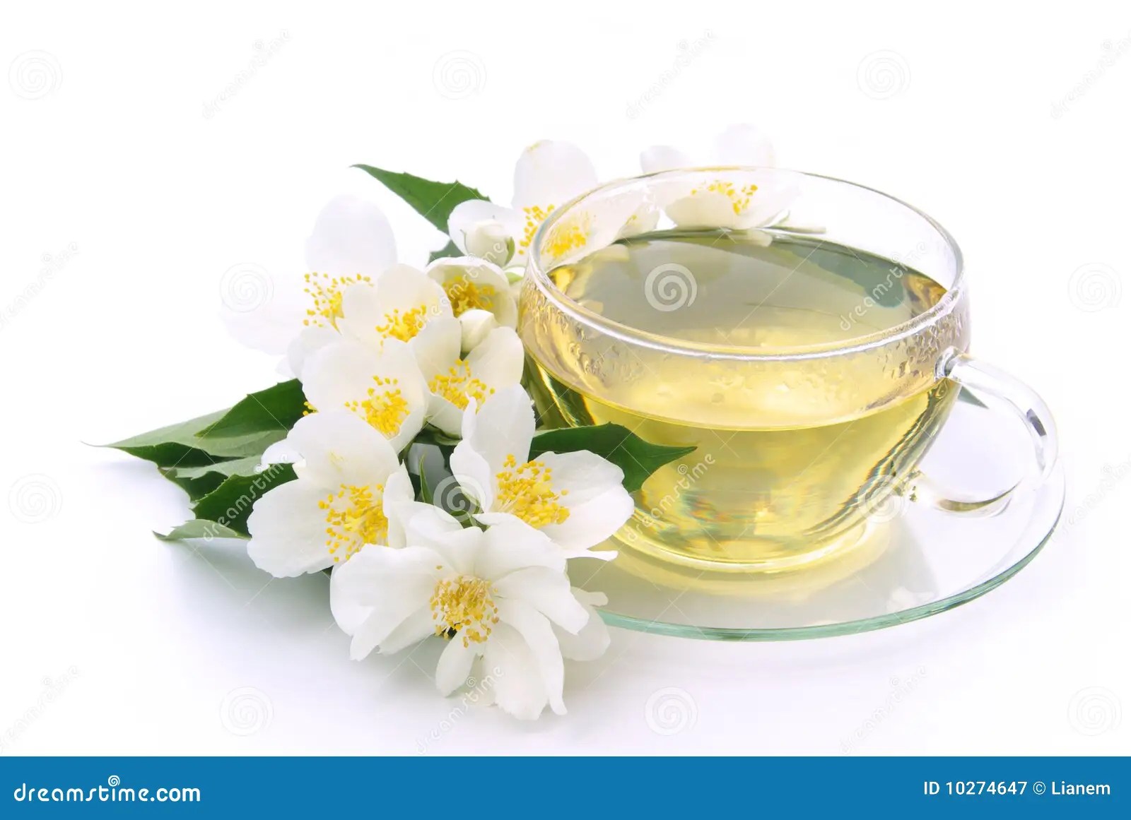 Jasmintee stockbild. Bild von teacup, getrennt, getränk 10274647