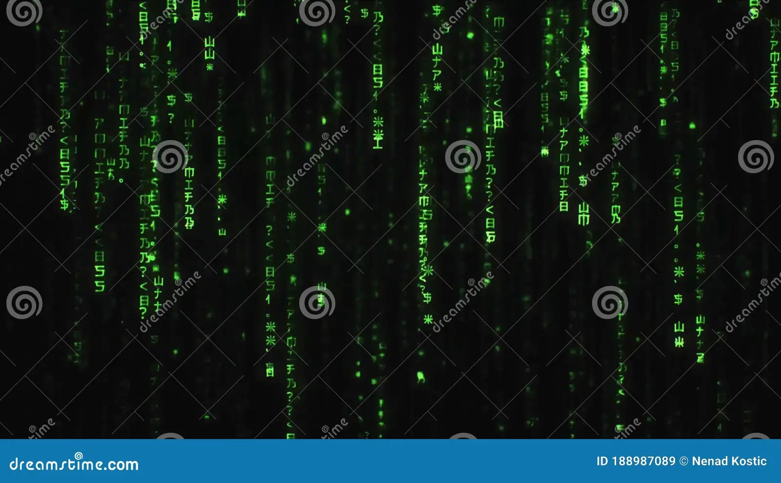 Matrix Red Dropping Code.Digital Binary Data, Streaming Code Zoom Background Digital Binary Data
