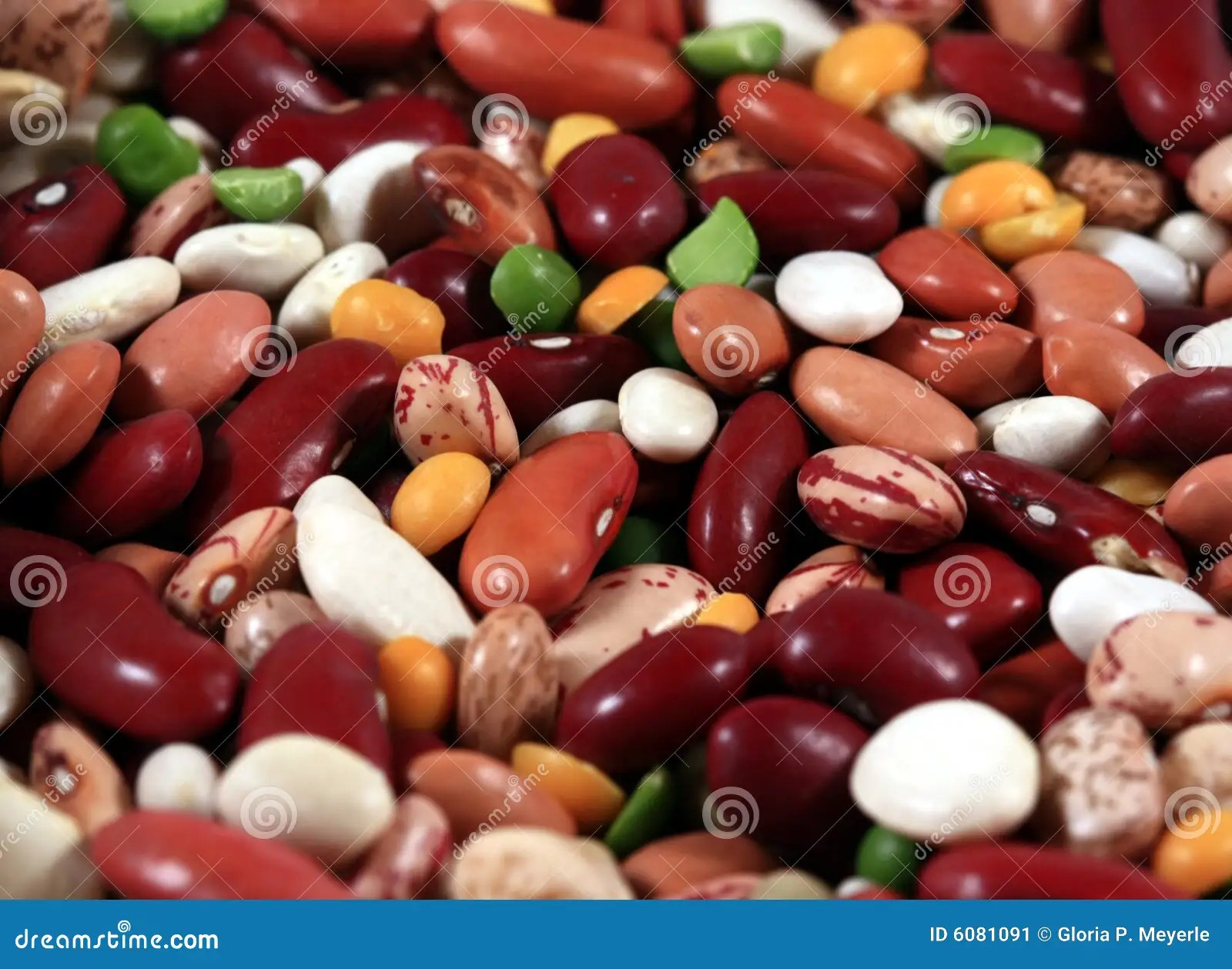 Mixed Bean Macro stock image. Image of lentil, garbanzo 6081091
