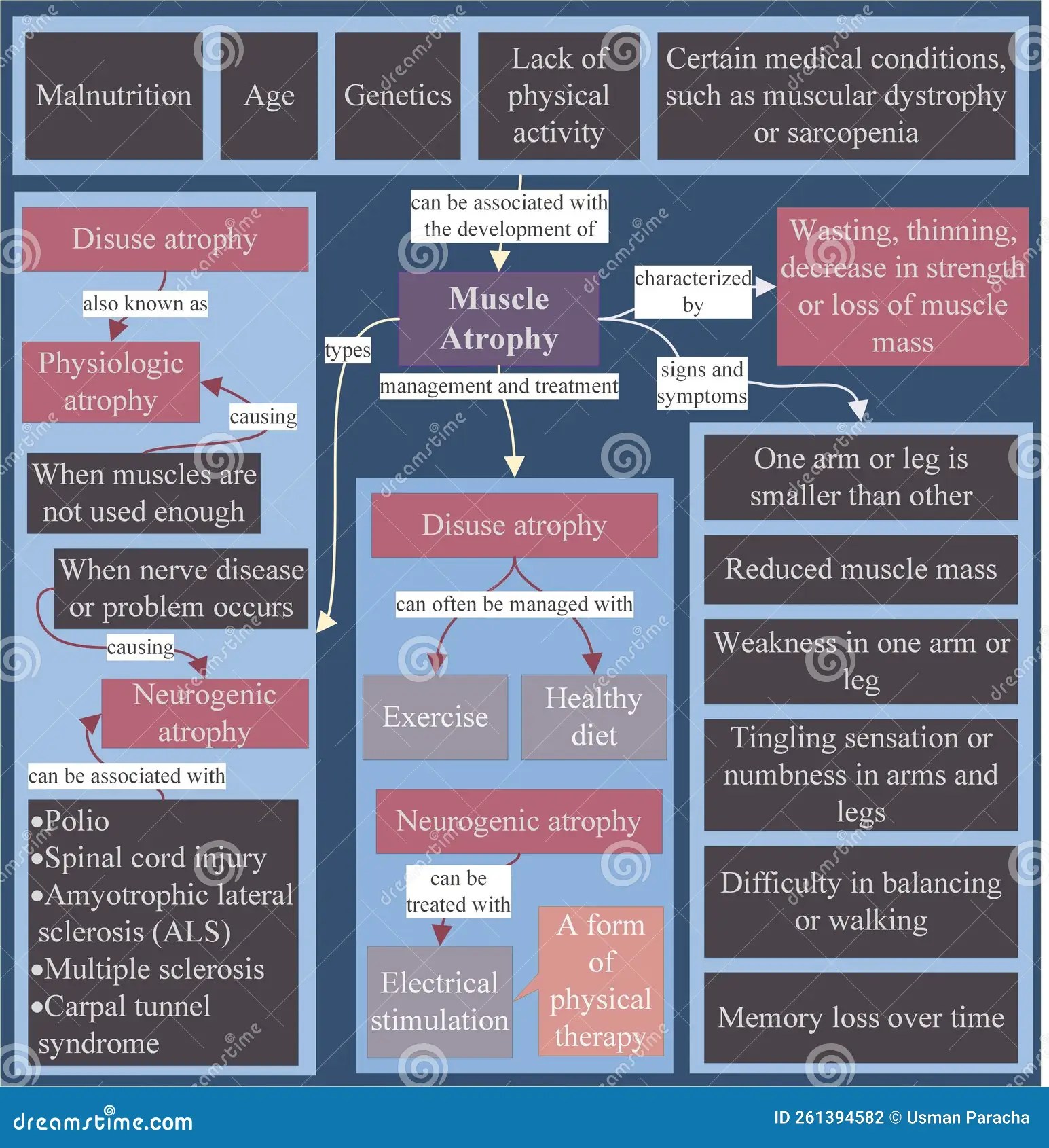 Muscle Atrophy is a Condition Characterized by Loss of Muscle Mass