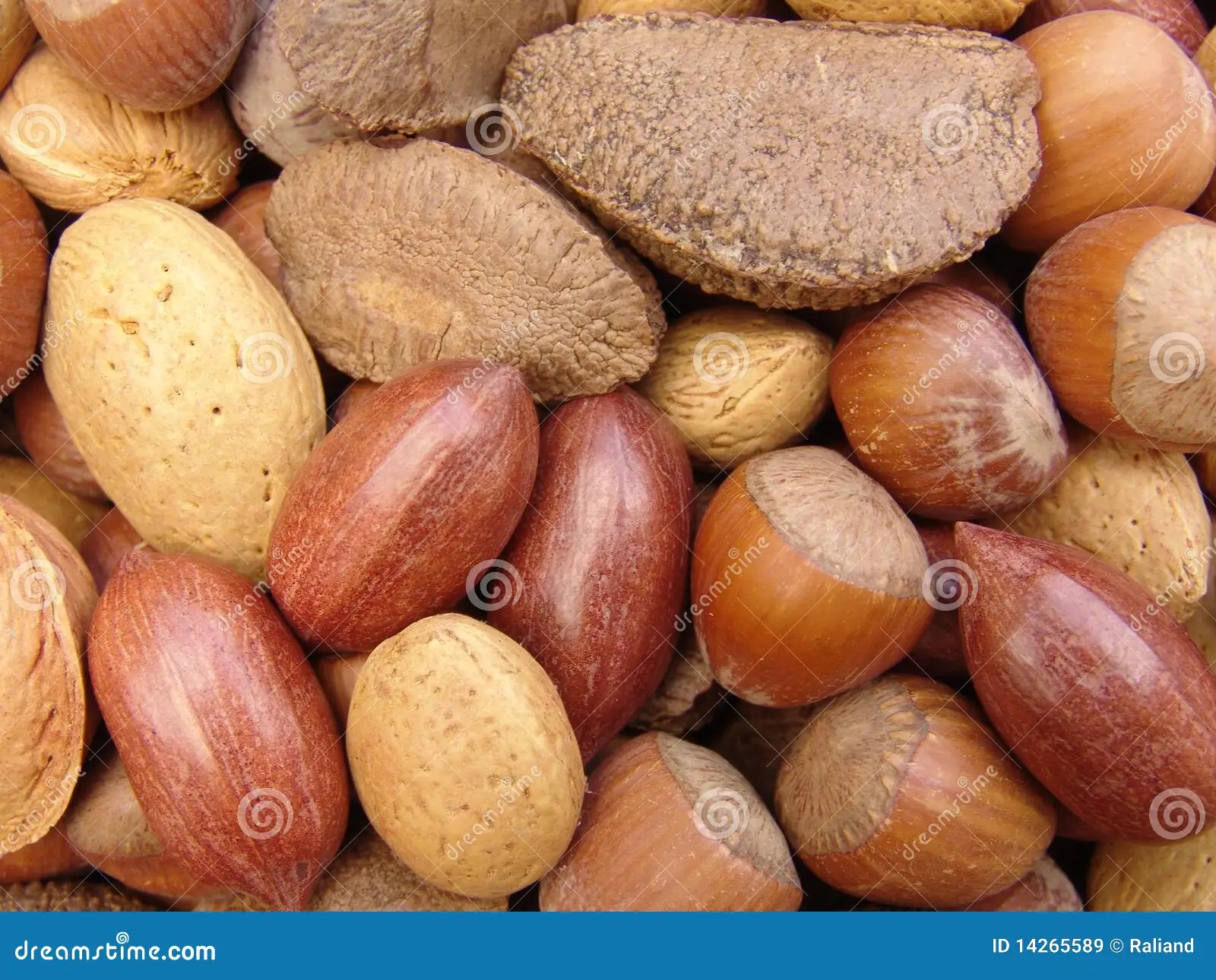 Nuts in Shells 3 stock image. Image of essential, energy 14265589